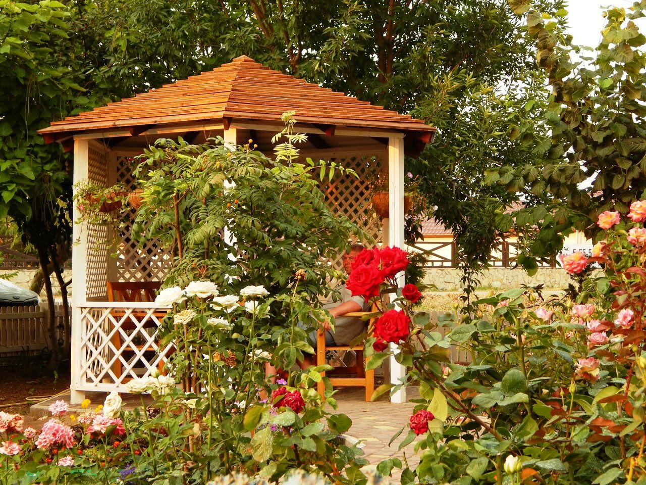 Гостевой дом Фламинго Голубицкая-19