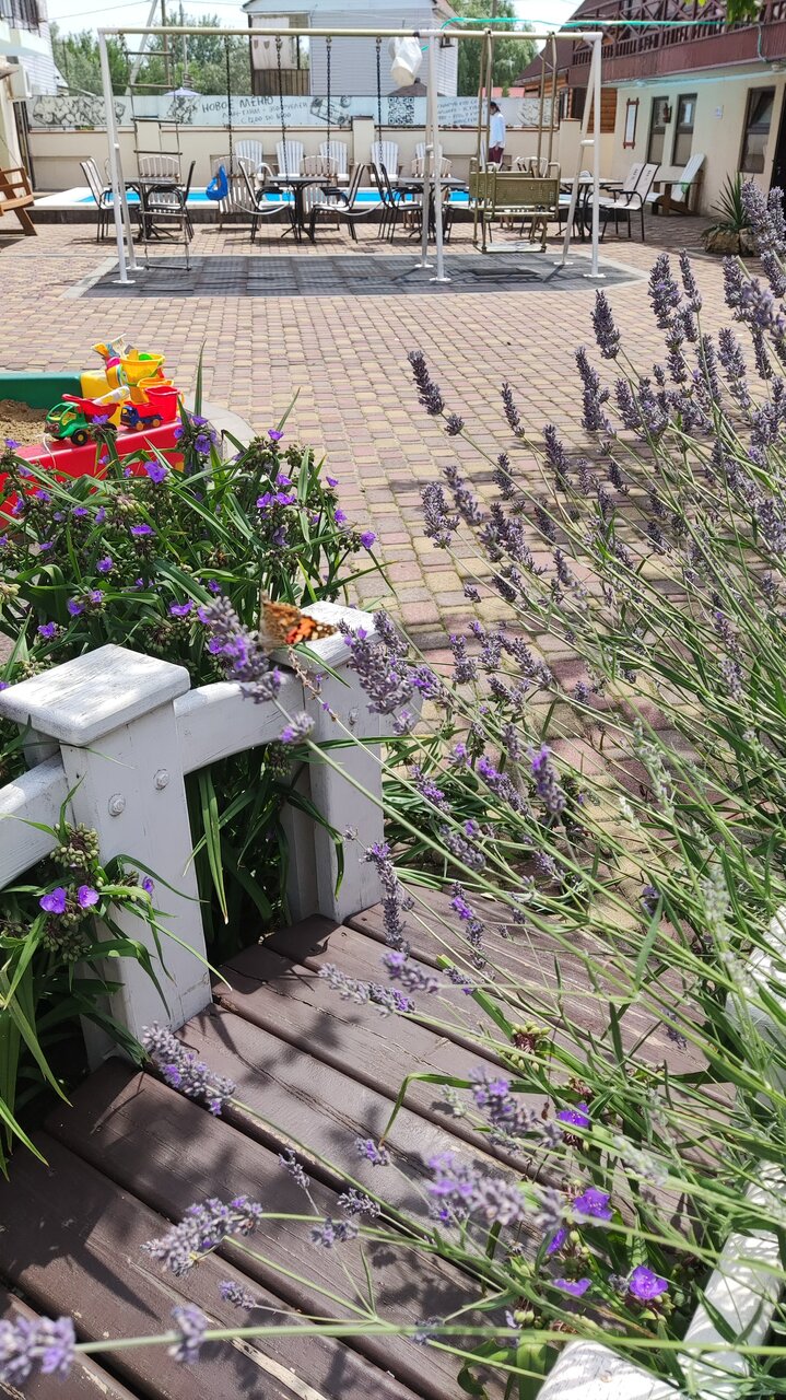 Гостевой дом Фламинго Голубицкая-241