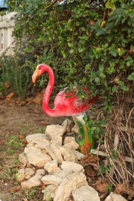 Гостевой дом Фламинго Голубицкая-24