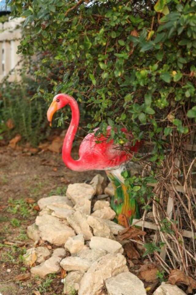 Гостевой дом Фламинго Голубицкая-23